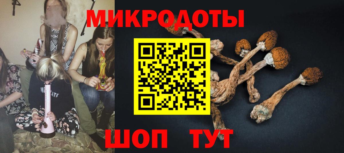 Псилоцибиновые грибы мицелий  Вход с VPN  наркота  Новошахтинск  Псилоцибиновые грибы ЛСД 